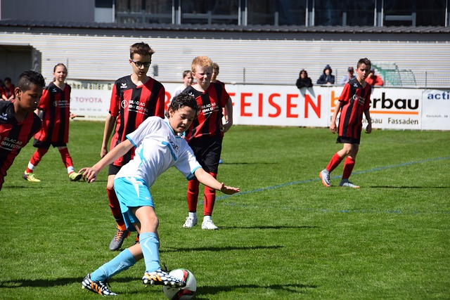 明星球员的 明星球员的