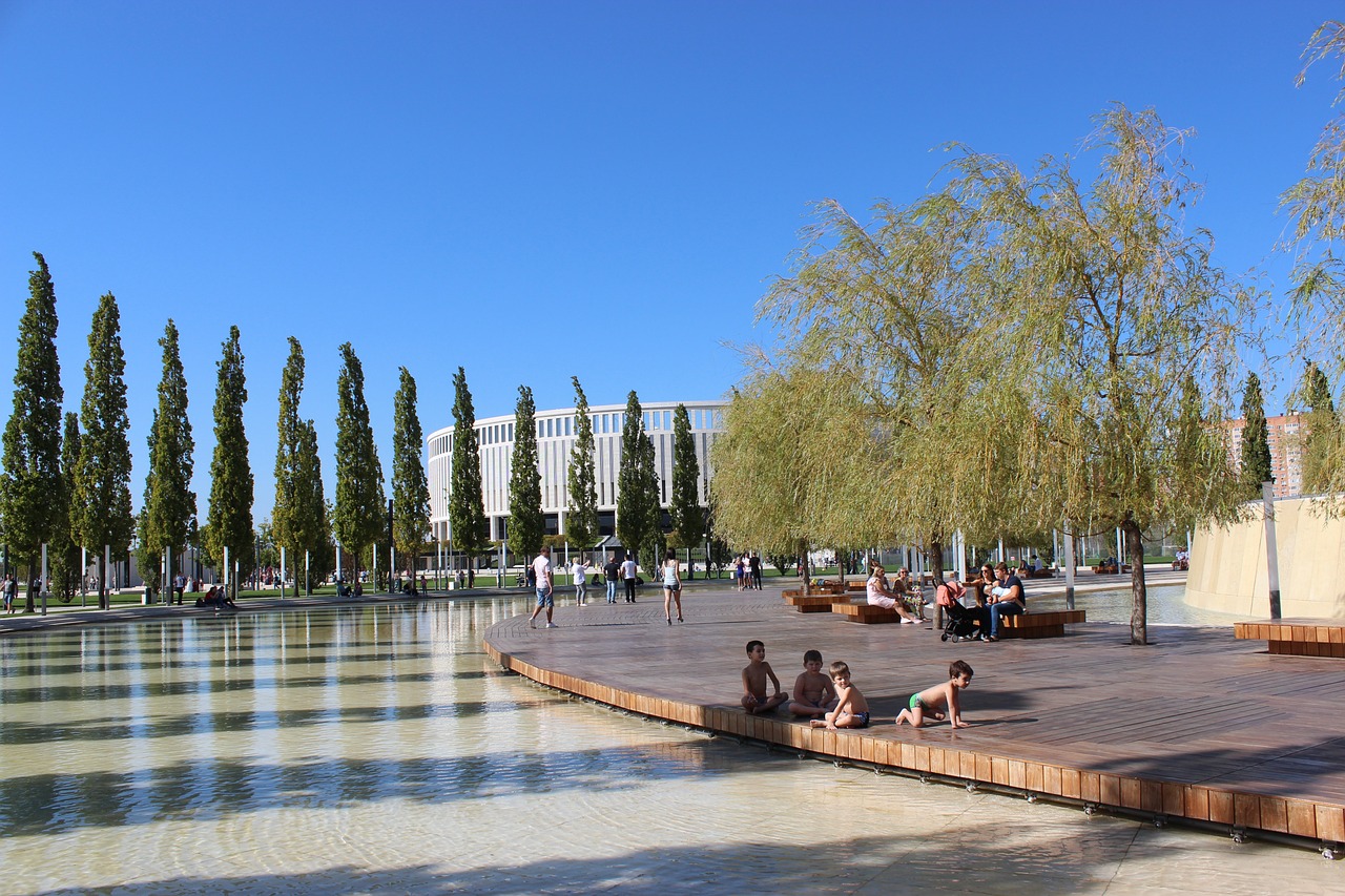 有力竞争者 有力竞争者