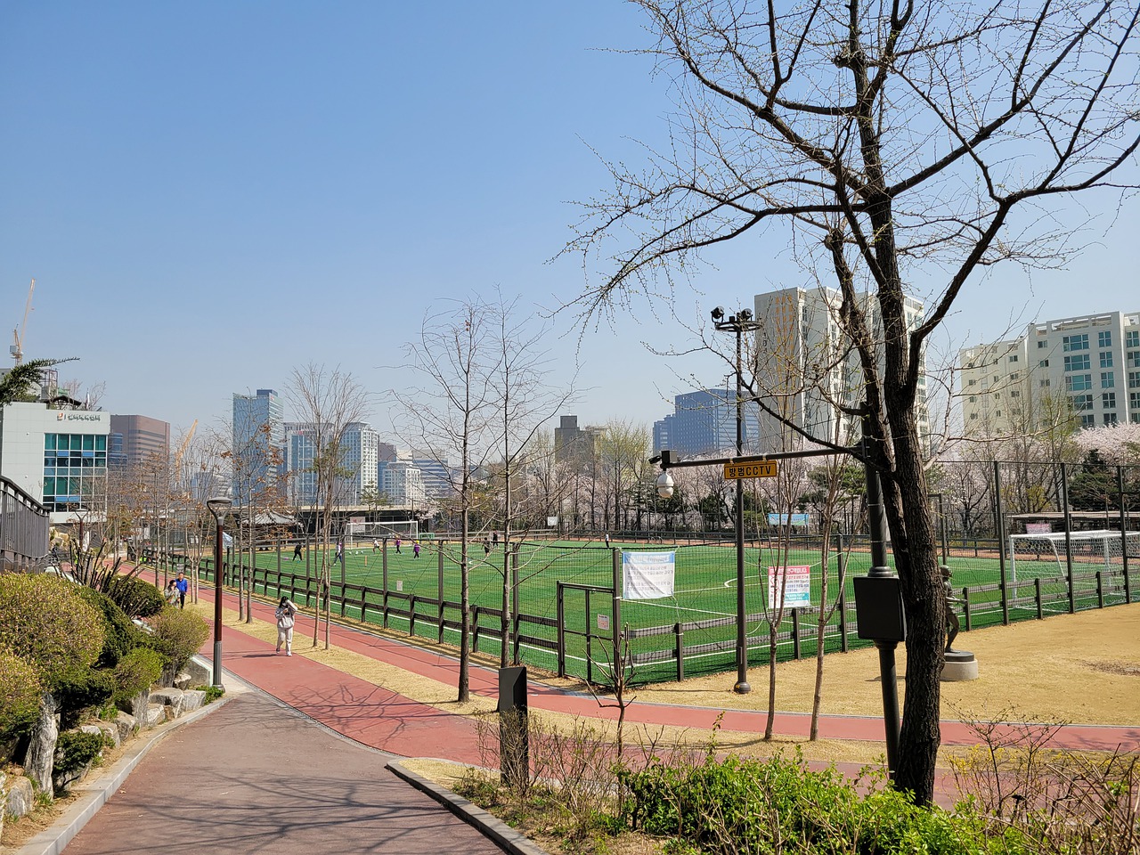 花队的对决 花队的对决