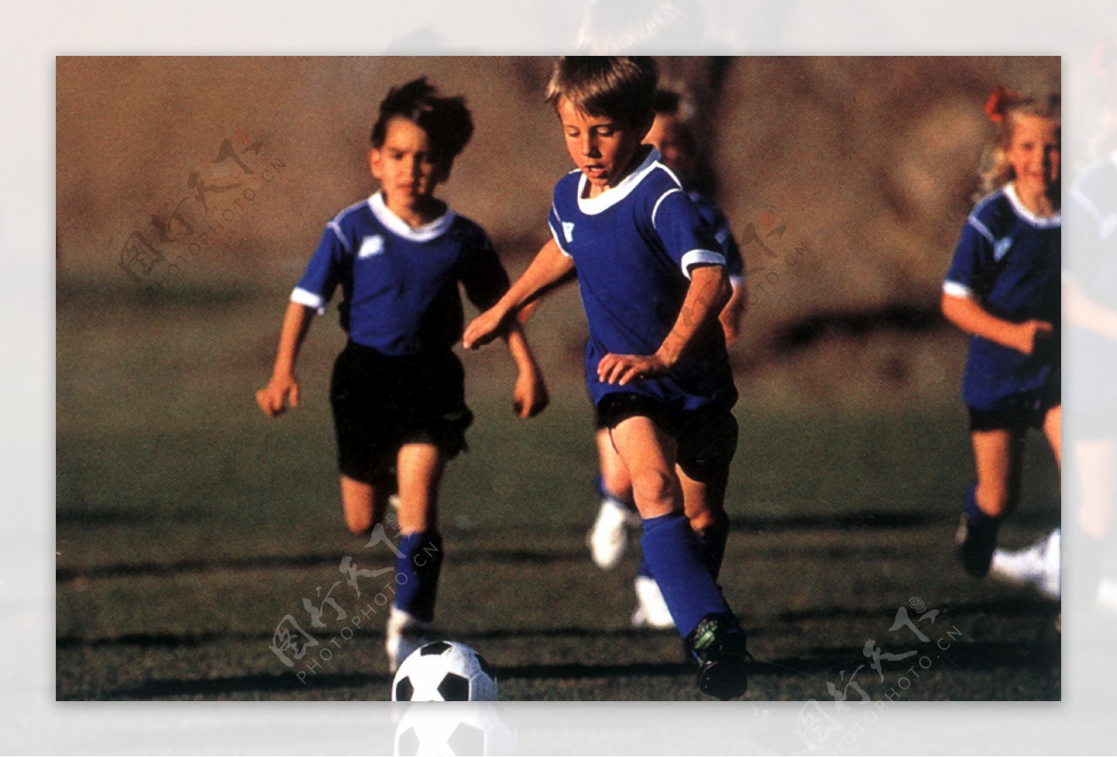 哈維的中場 哈維的中場