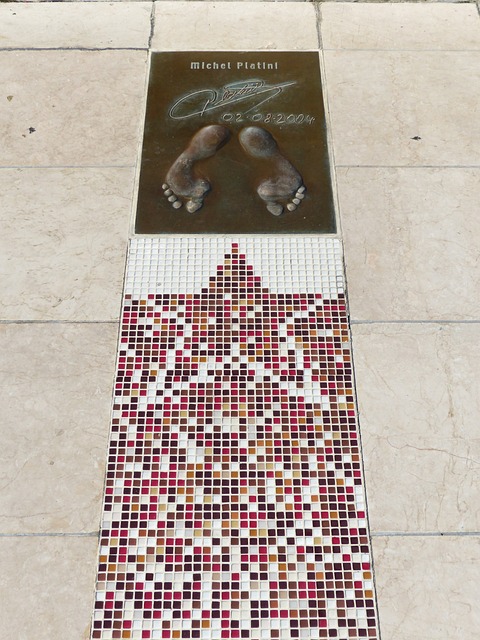 自從加盟多 自從加盟多