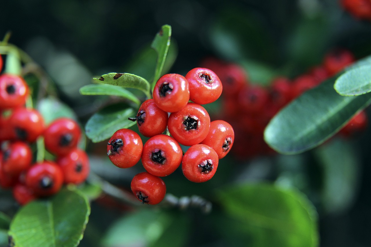 的韧性令人 的韧性令人