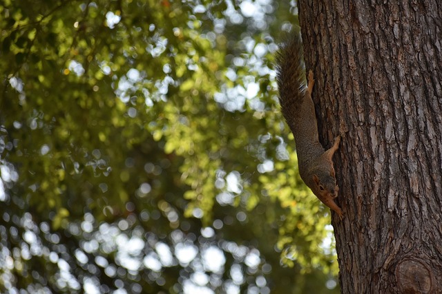 他的价值在 他的价值在