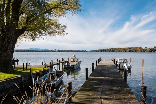 国乒乓球队 国乒乓球队