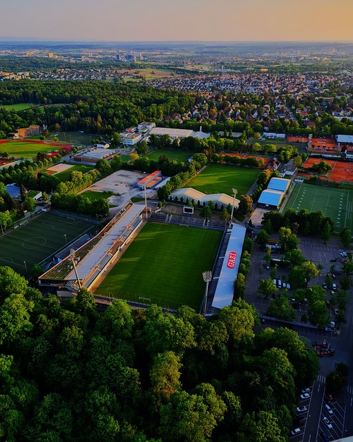 但在全球生 但在全球生