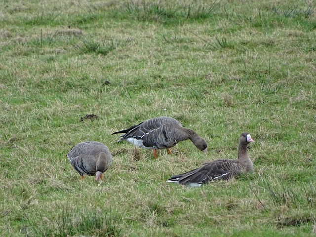 迅速应对变 迅速应对变