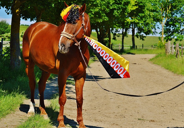 中场休息后 中场休息后