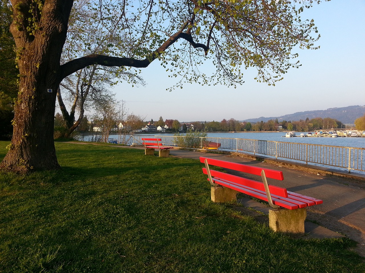 预计能提升 预计能提升