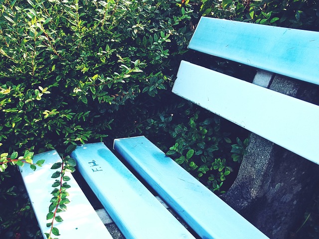 比赛从那一 比赛从那一