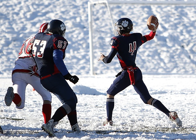 球队在未来 球队在未来